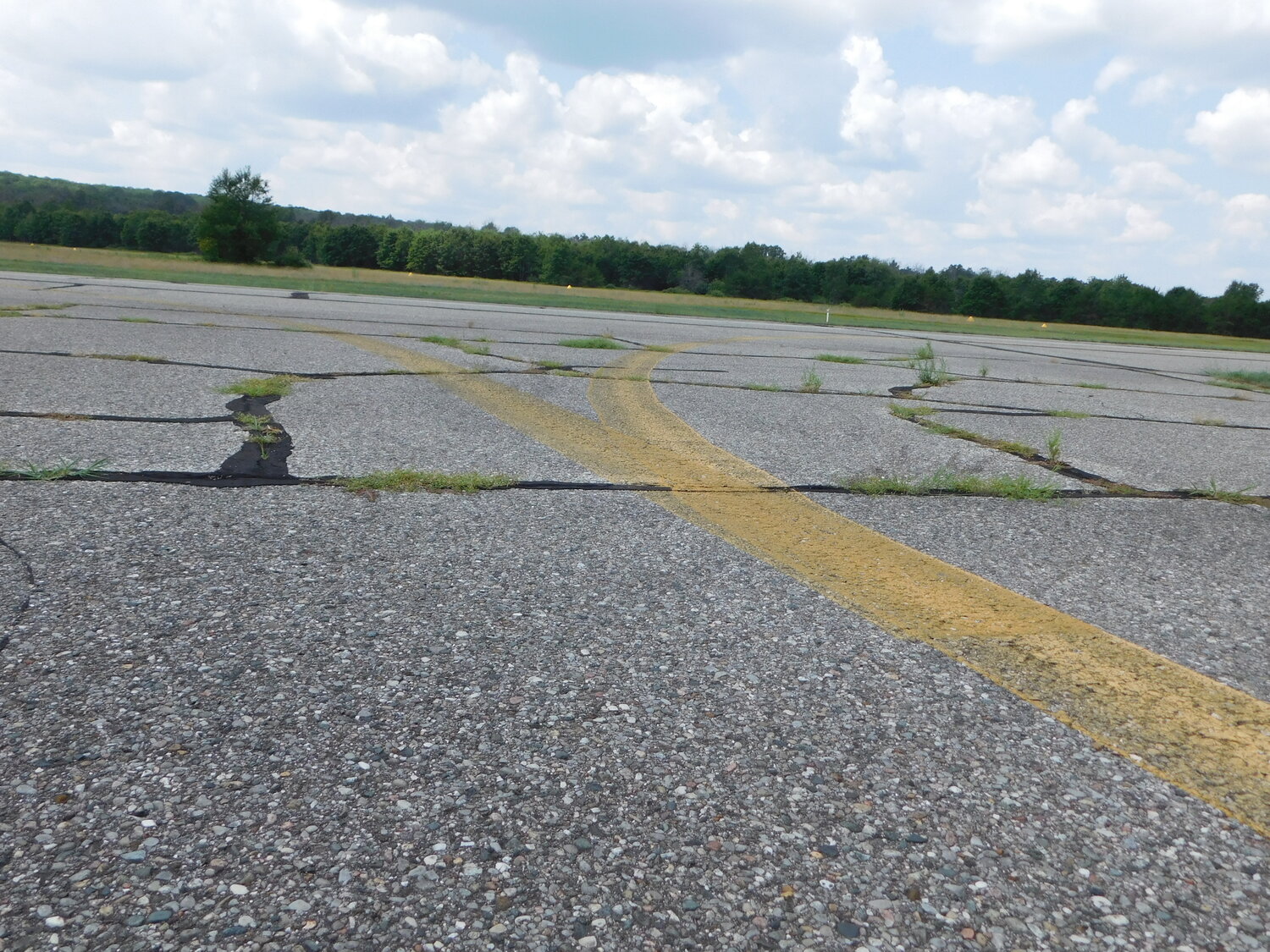 These cracks show some of the major weed growth that had to be eliminated before the upcoming crack sealing work could be undertaken.